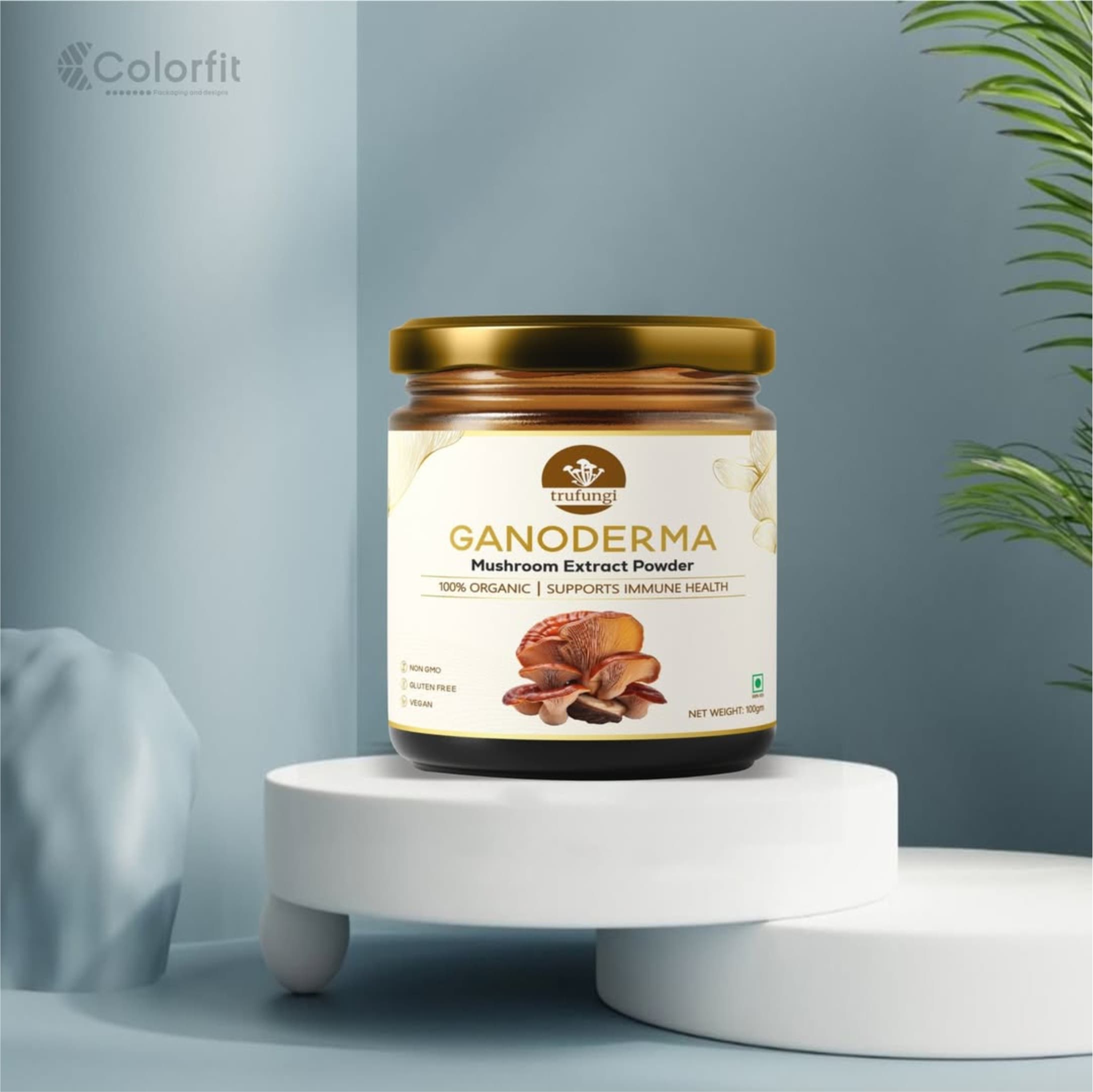 Ganoderma Powder